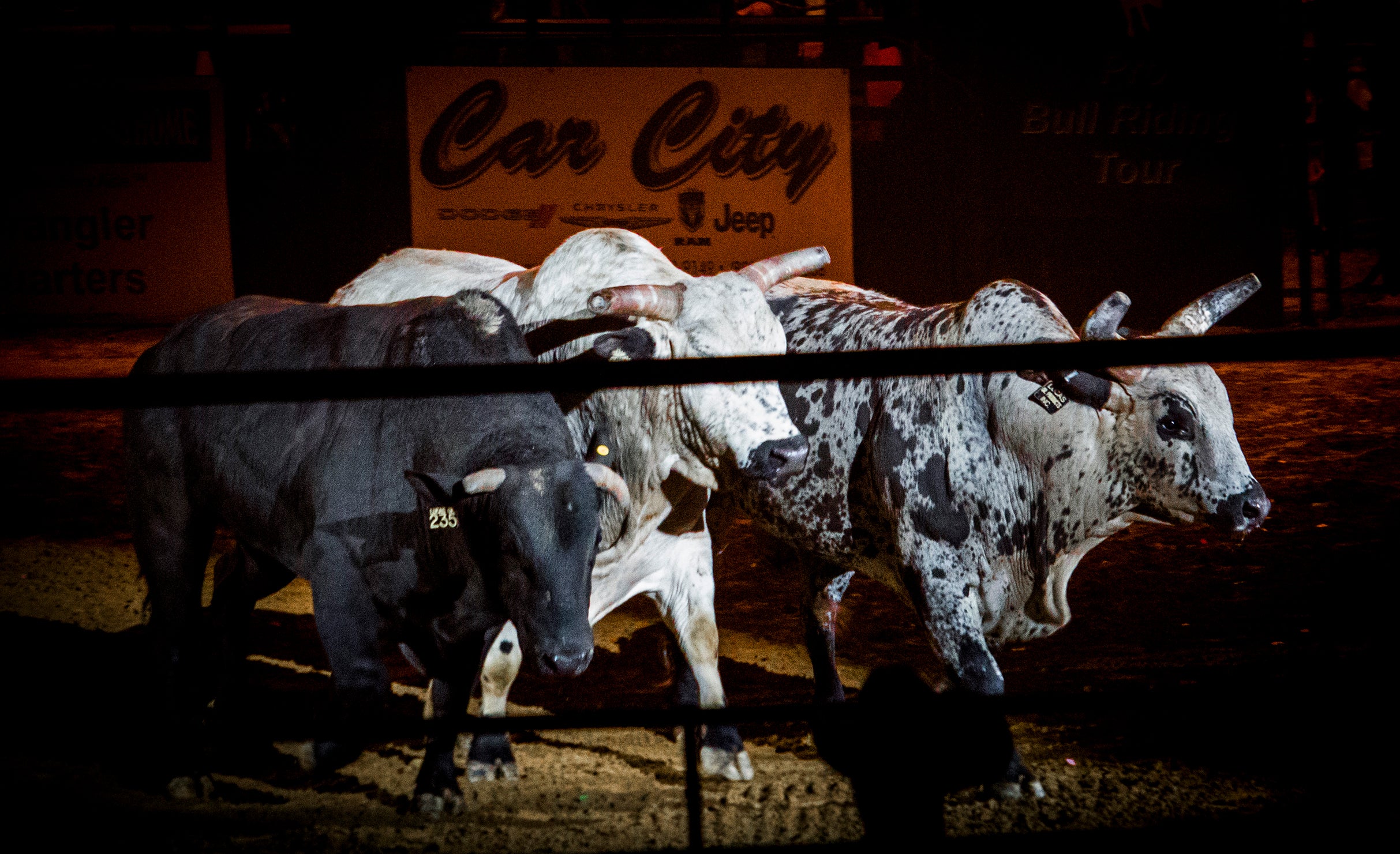 Amped Up Bull Riding