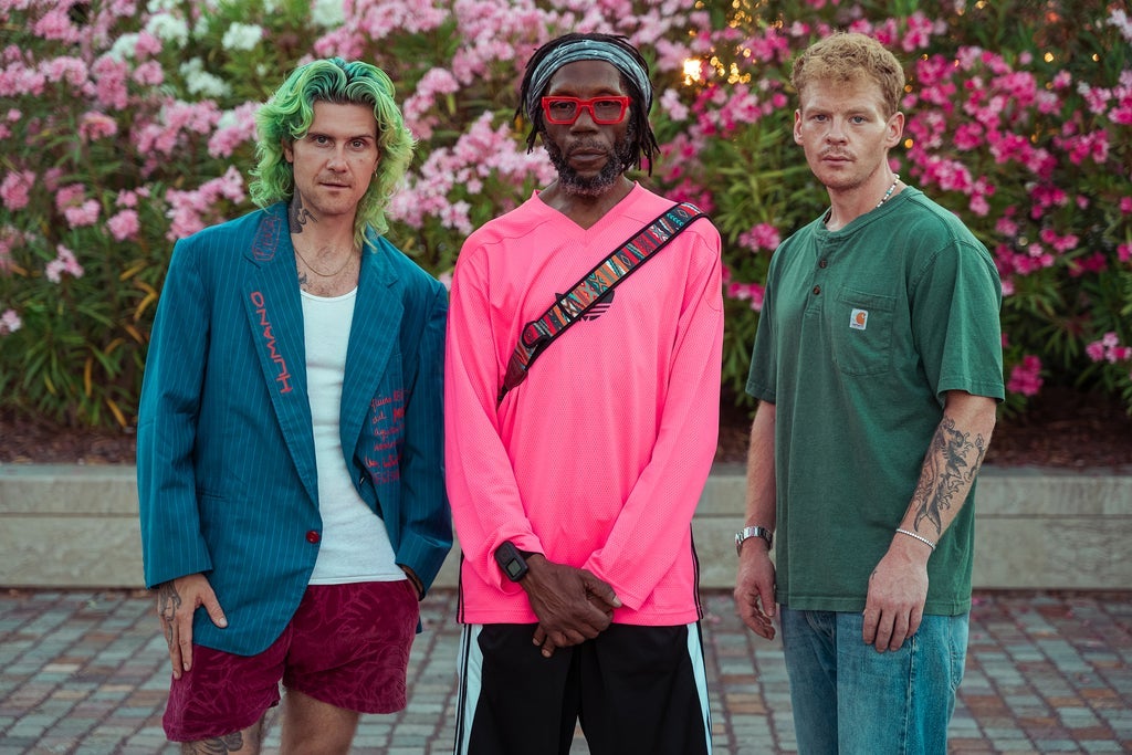 More Info for Too Many Zooz