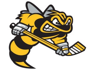 Sarnia Sting