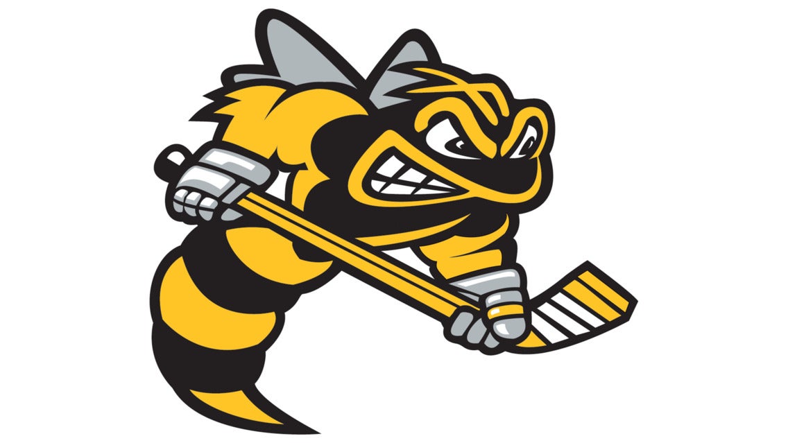 Sarnia Sting vs. Saginaw Spirit event image