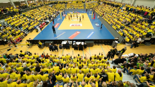 SSC Palmberg Schwerin tickets and events in Deutschland 2025 - 2026