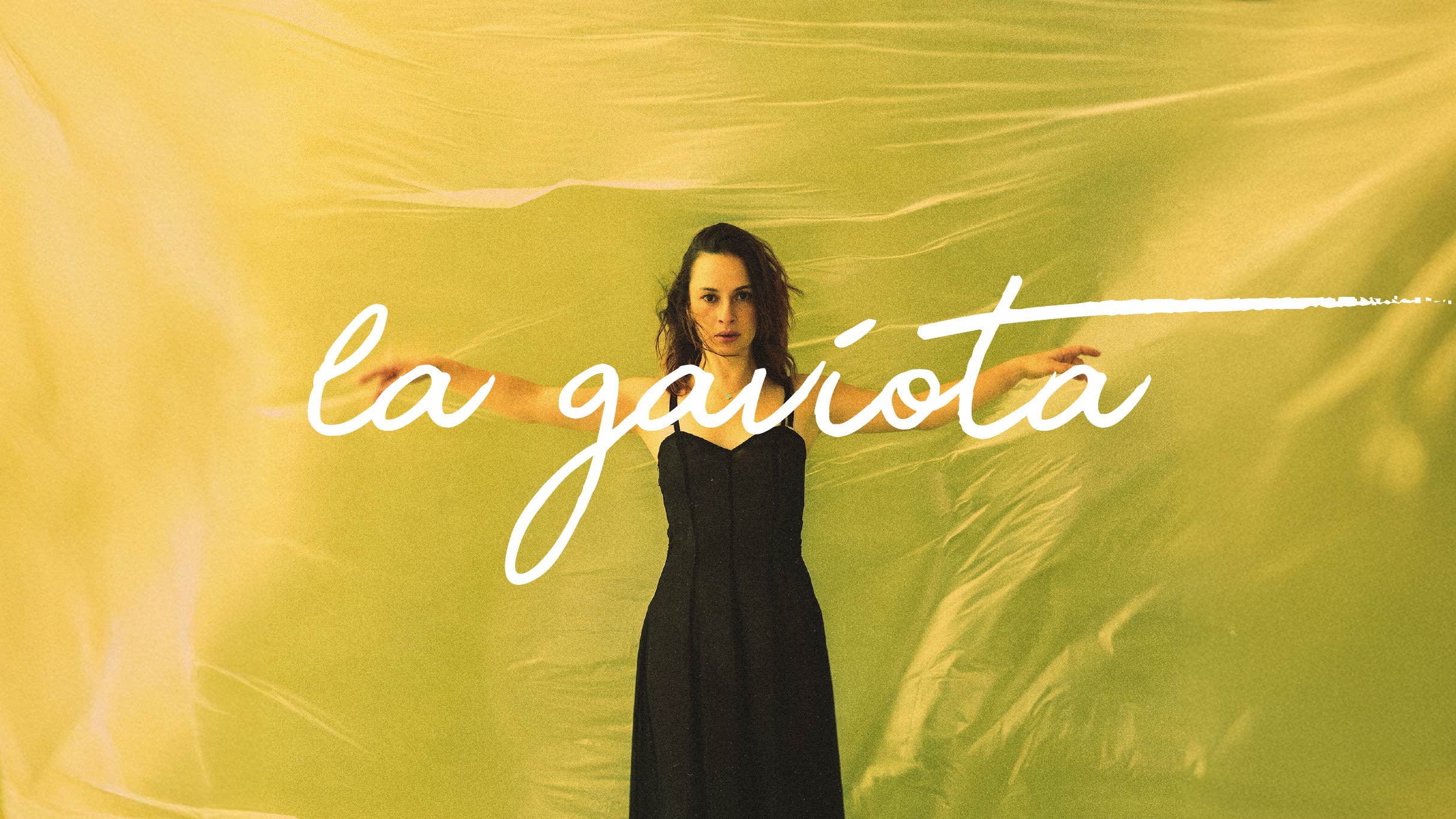 La Gaviota