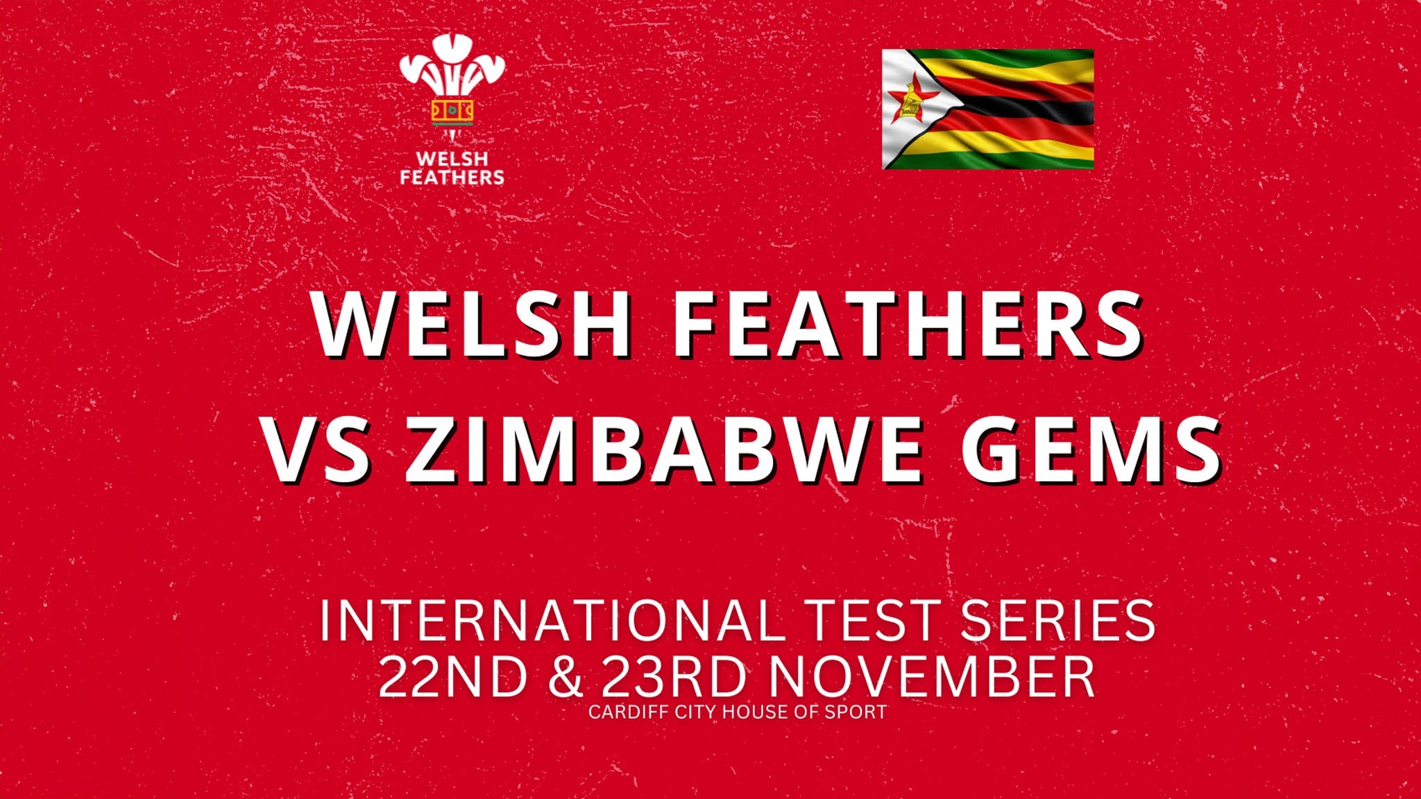 Welsh Feathers v Zimbabwe Gems - International Test Series