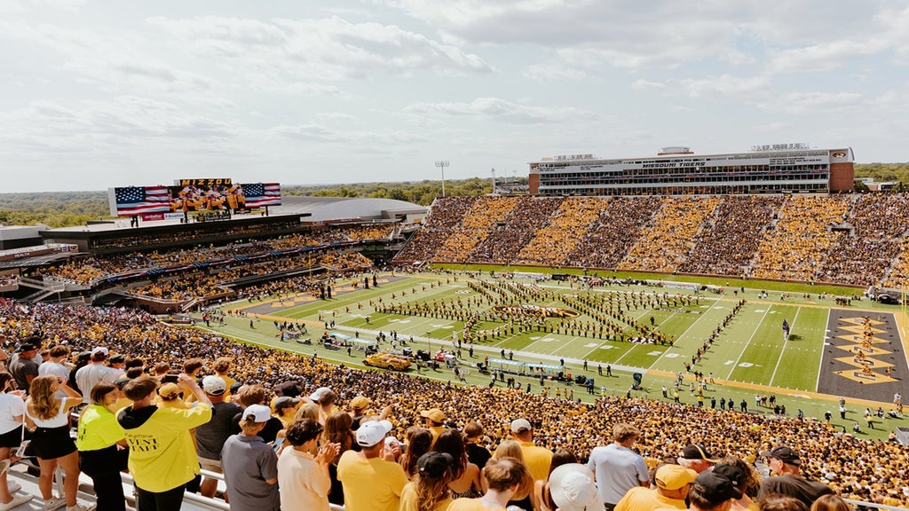 Mizzou Tigers Football artwork