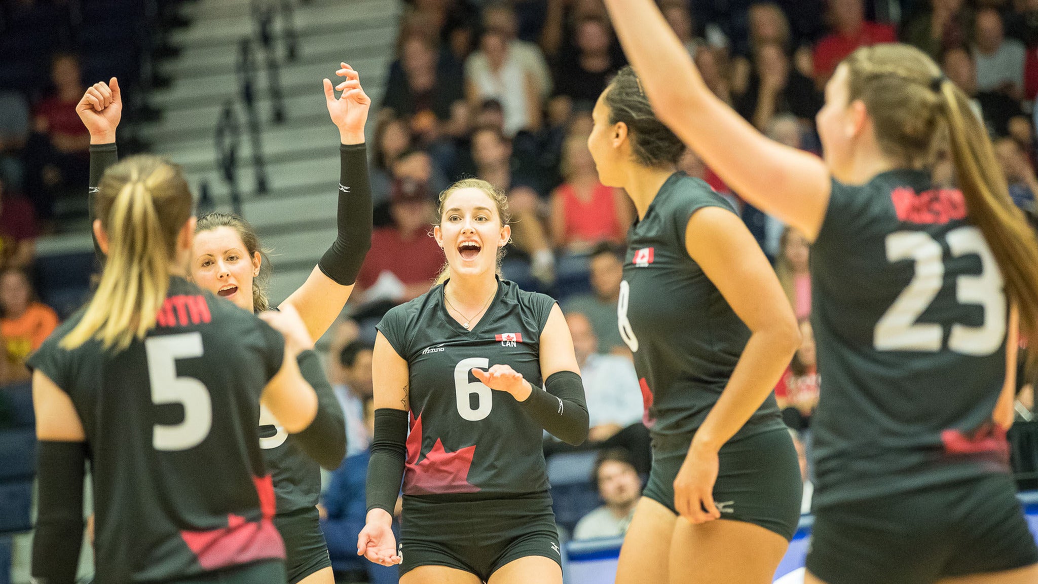Volleyball Canada - Women's Finals Day Pass in Edmonton promo photo for Exclusive presale offer code