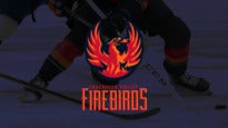 Coachella Valley Firebirds vs. Tucson Roadrunners: Winter Games Night