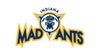 Indiana Mad Ants vs. Maine Celtics