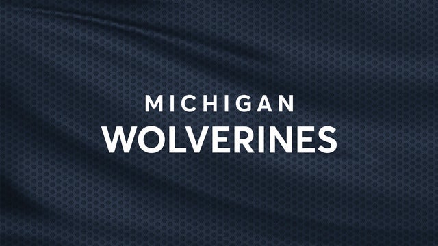 University of Michigan Wolverines Softball