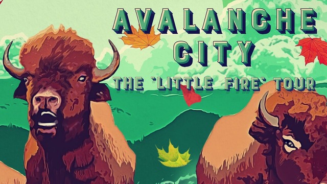 Avalanche City