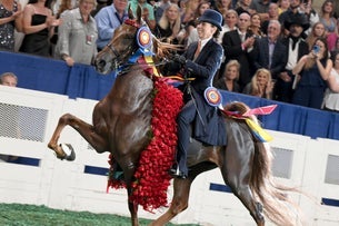 World's Championship Horse Show