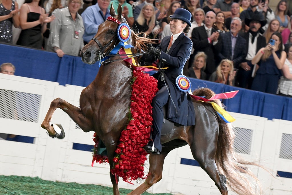 World's Championship Horse Show