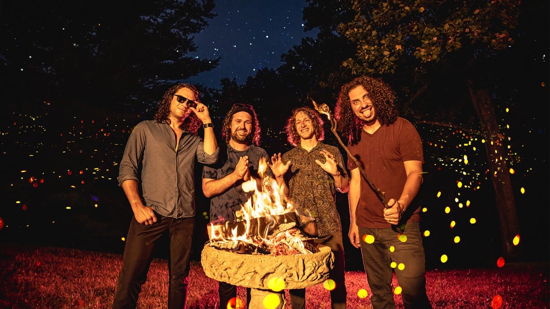 Photo of Pigeons Playing Ping Pong (16 and Over)