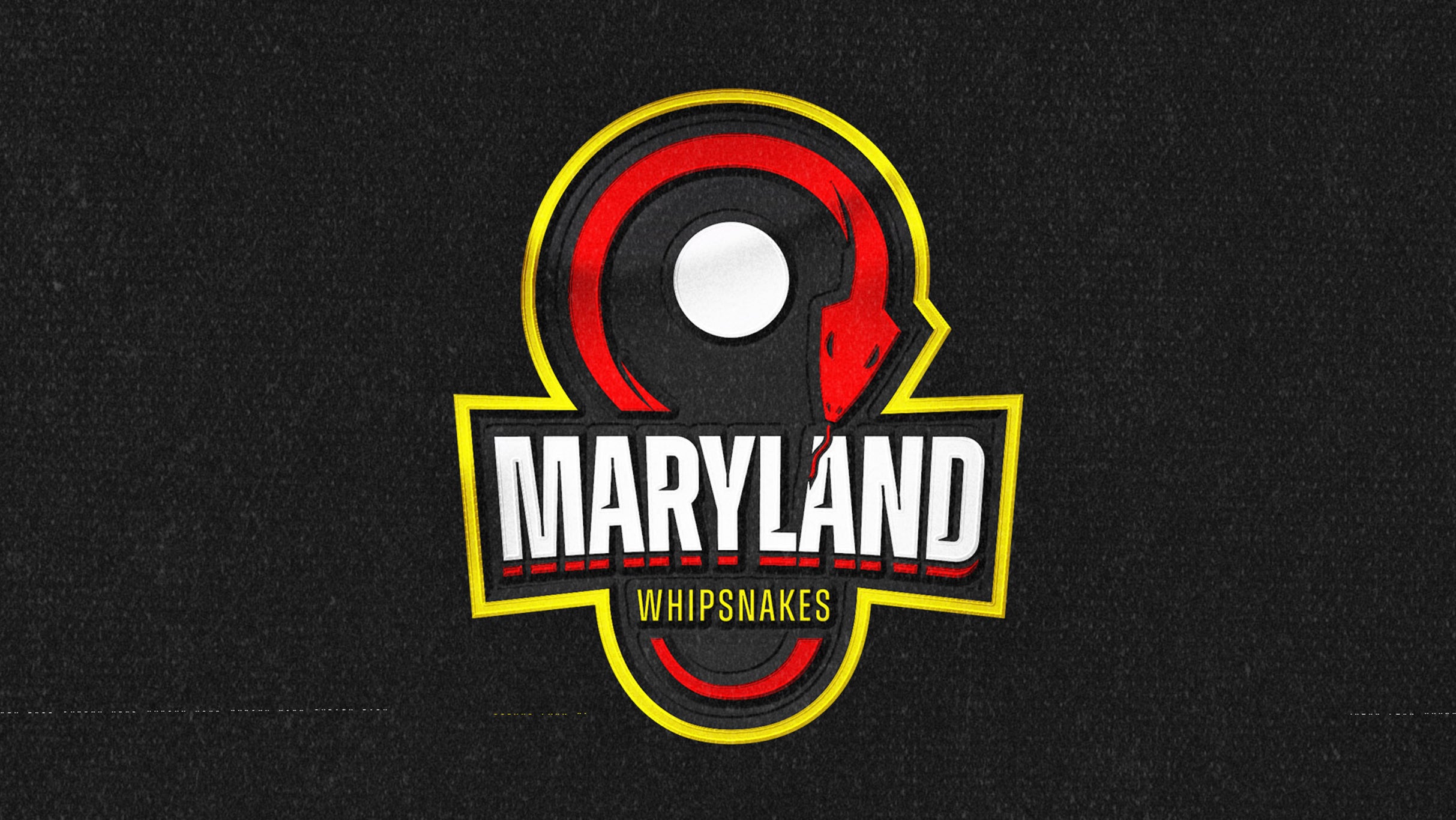 Maryland Whipsnakes