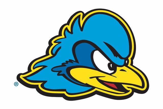 University of Delaware Blue Hens Volleyball