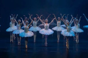 Swan Lake