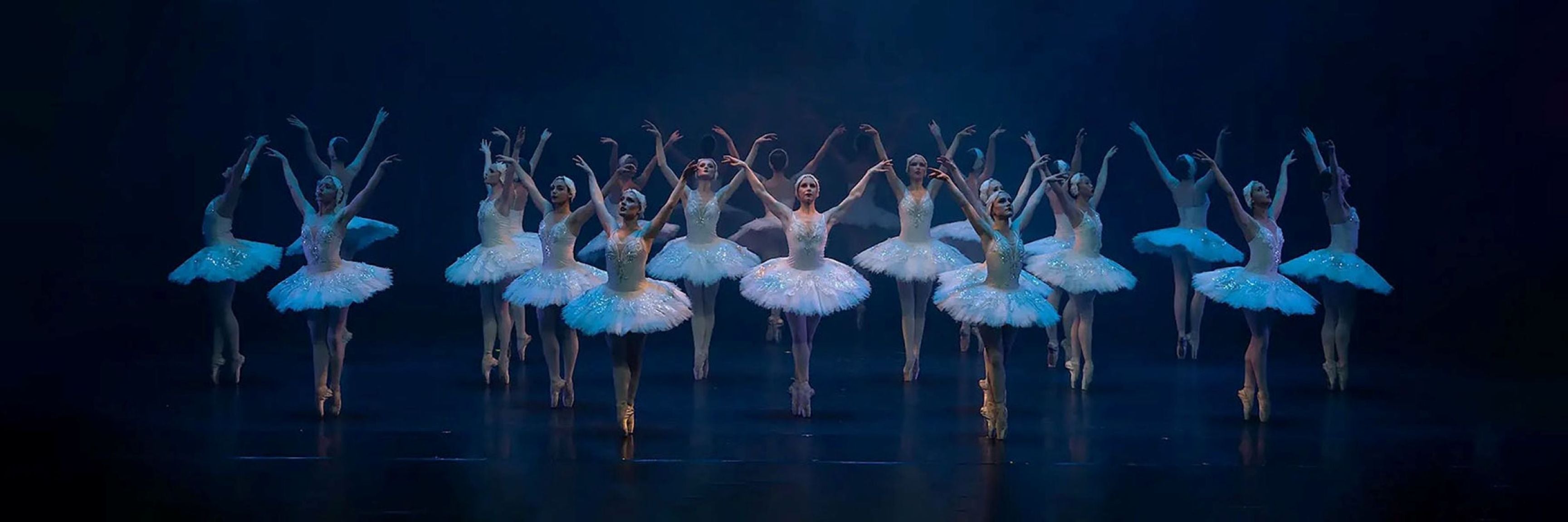 VSB - Swan Lake