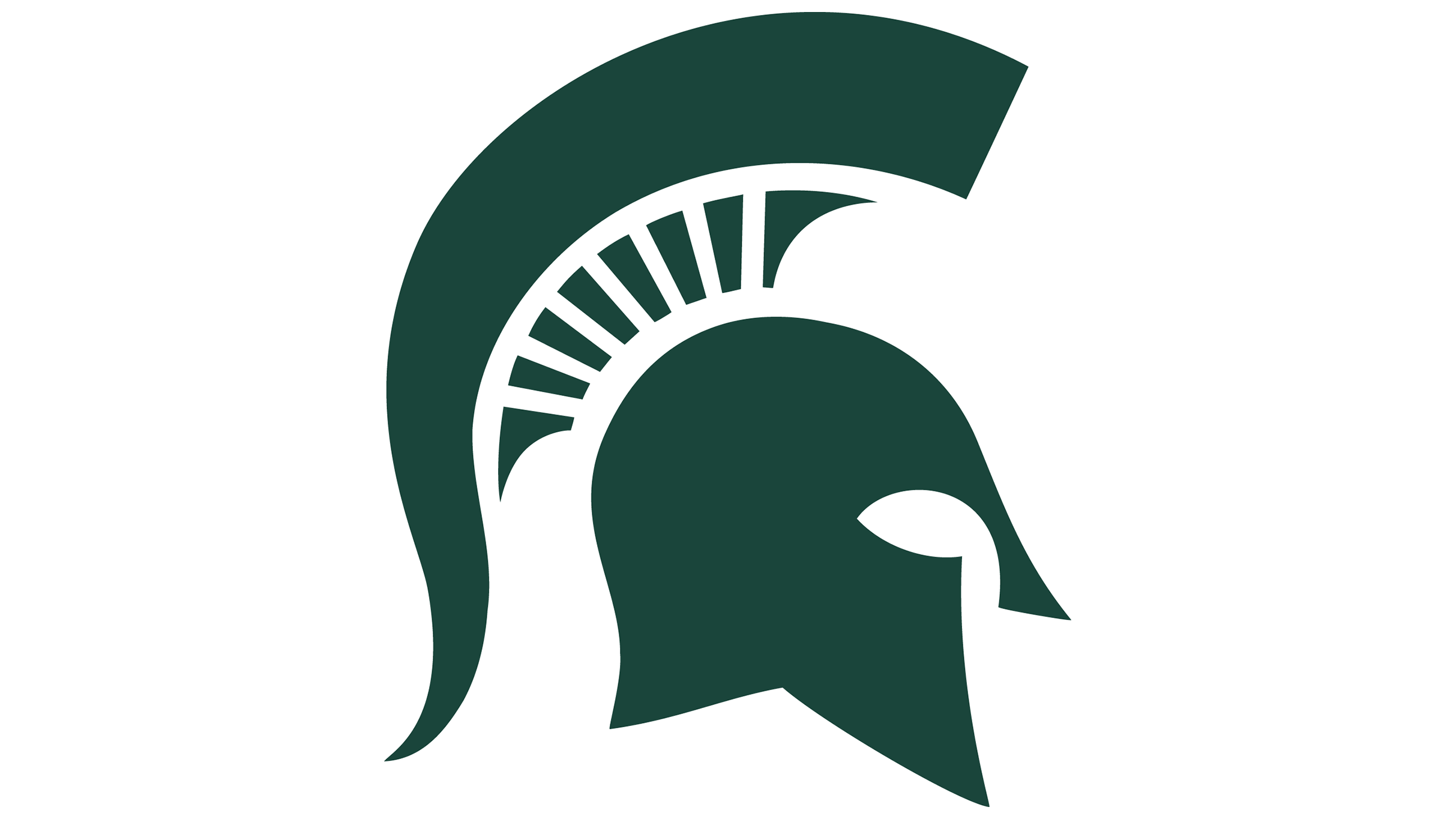 Michigan State University Hockey