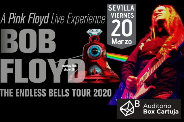 Bob Floyd: the David Gilmour & Pink Floyd Adventure Event Title Pic