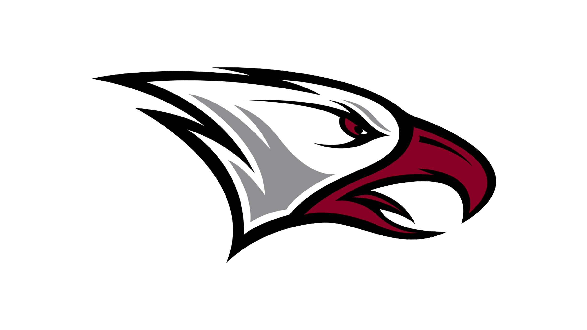 North Carolina Central University Eagles Football