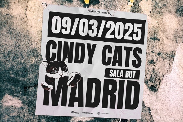 Cindy Cats