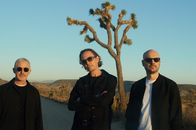 Presale codes for above & beyond: members use these when buying pre-sale tickets