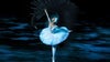 Royal Ukrainian Ballet El lago de los Cisnes