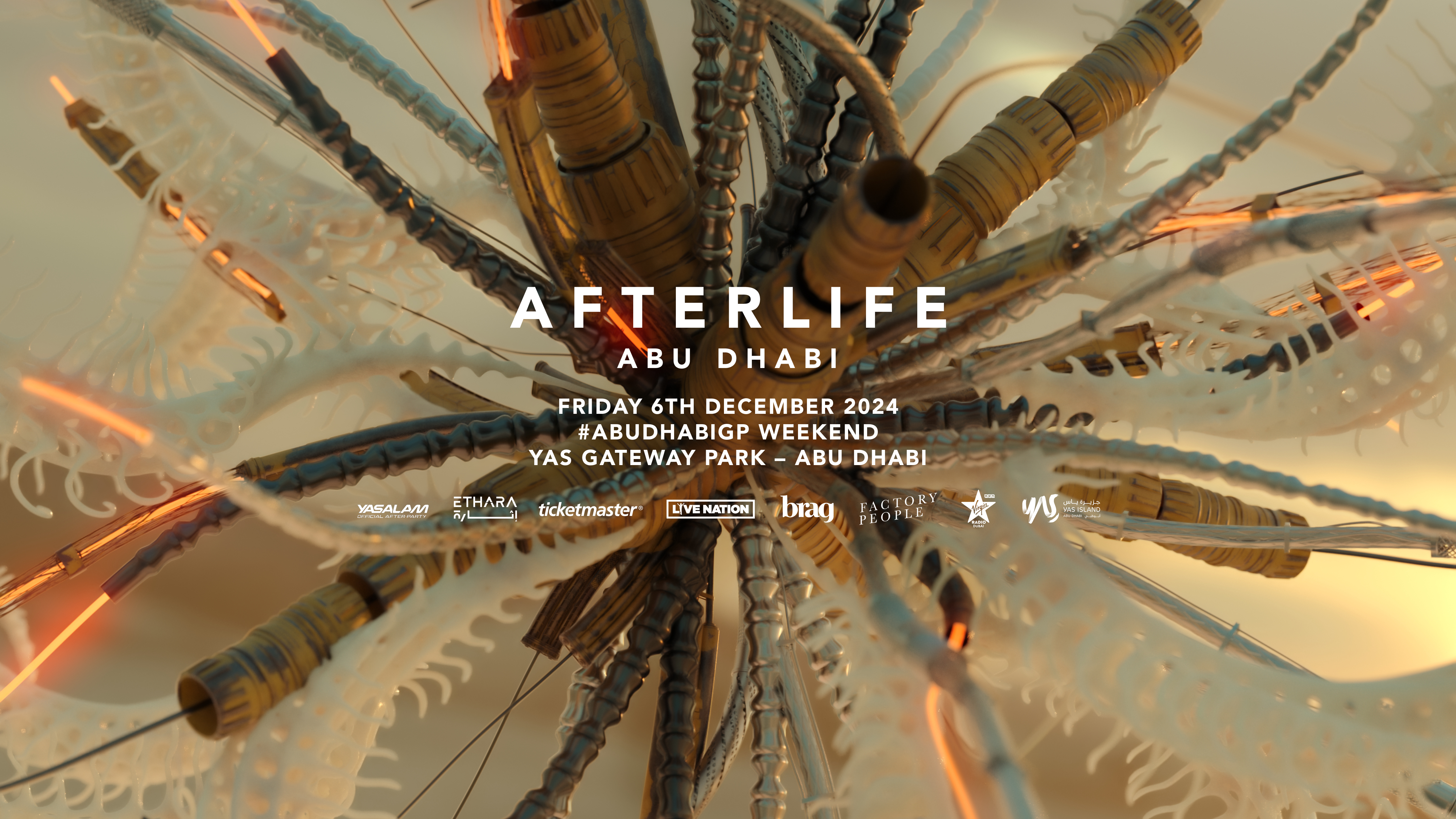 Afterlife