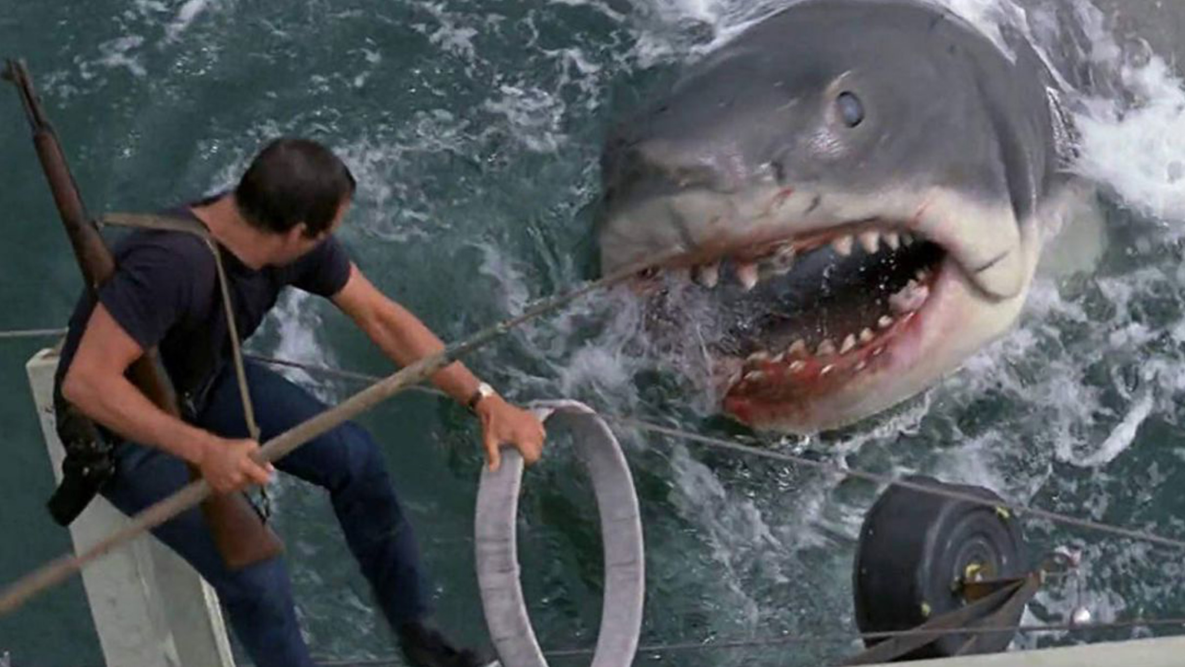 Jaws