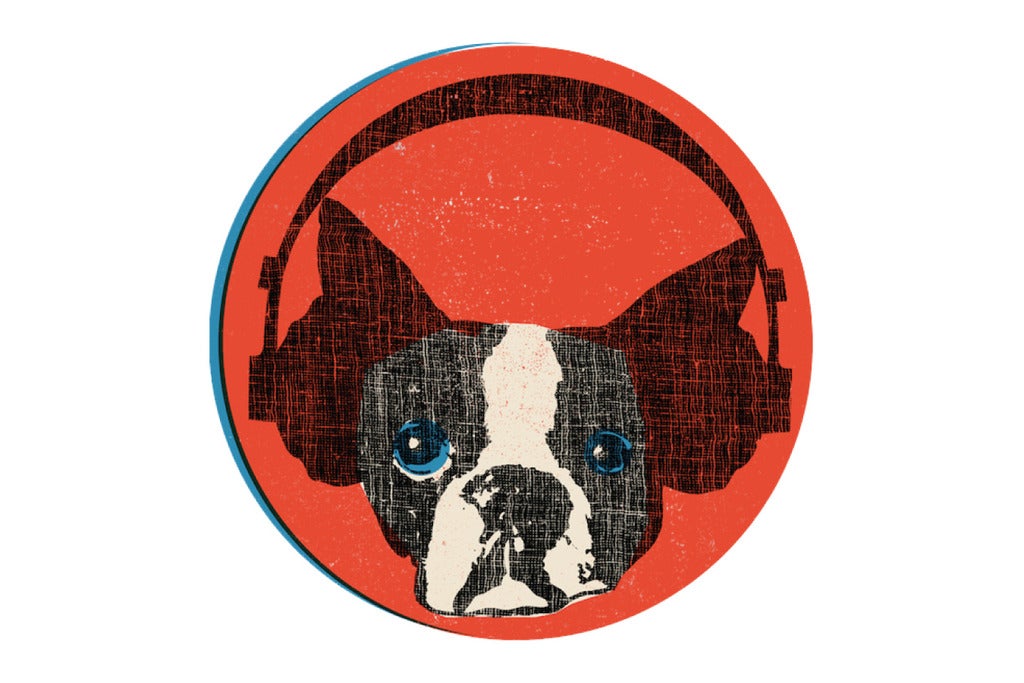 Snarky Puppy