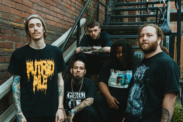 Presale codes for world of malice: members use these when buying pre-sale tickets