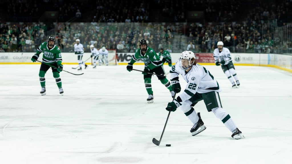 Bemidji State Beavers Mens Hockey
