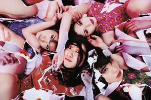 Otoboke Beaver
