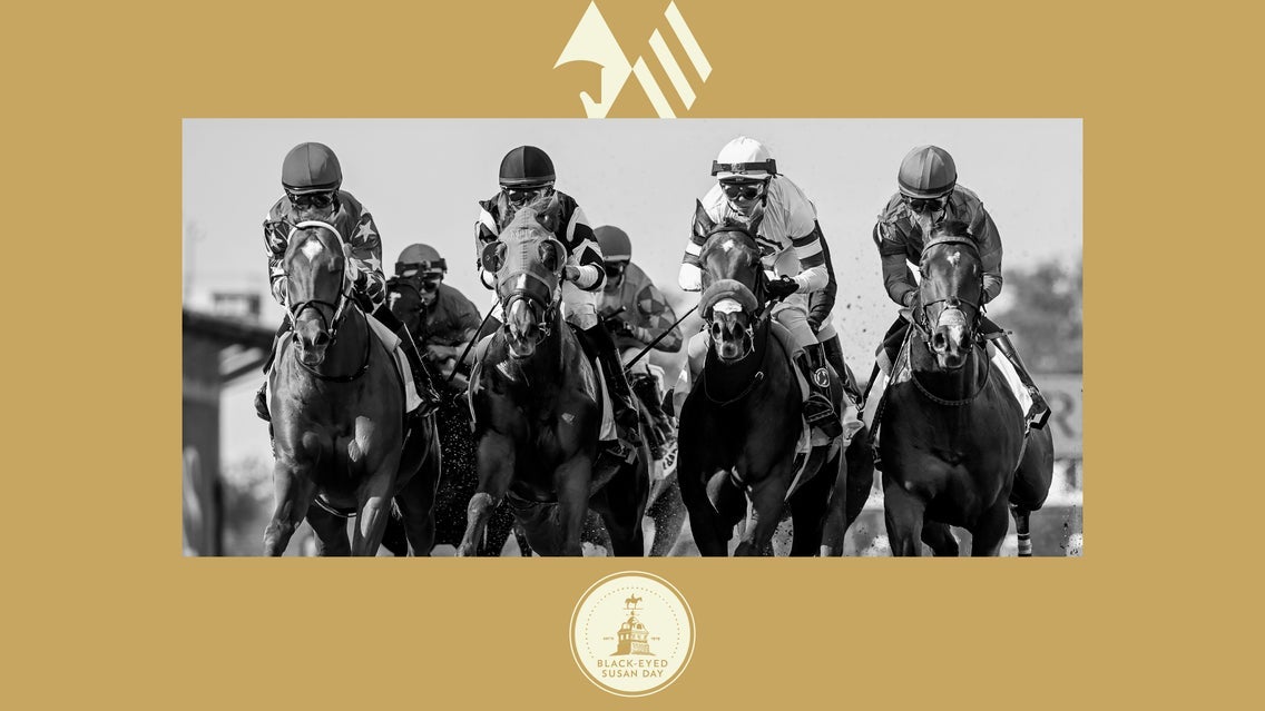 Black Eyed Susan Day at Laurel Park