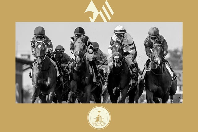 Presales to black eyed susan day at laurel park: members use these when buying pre-sale tickets