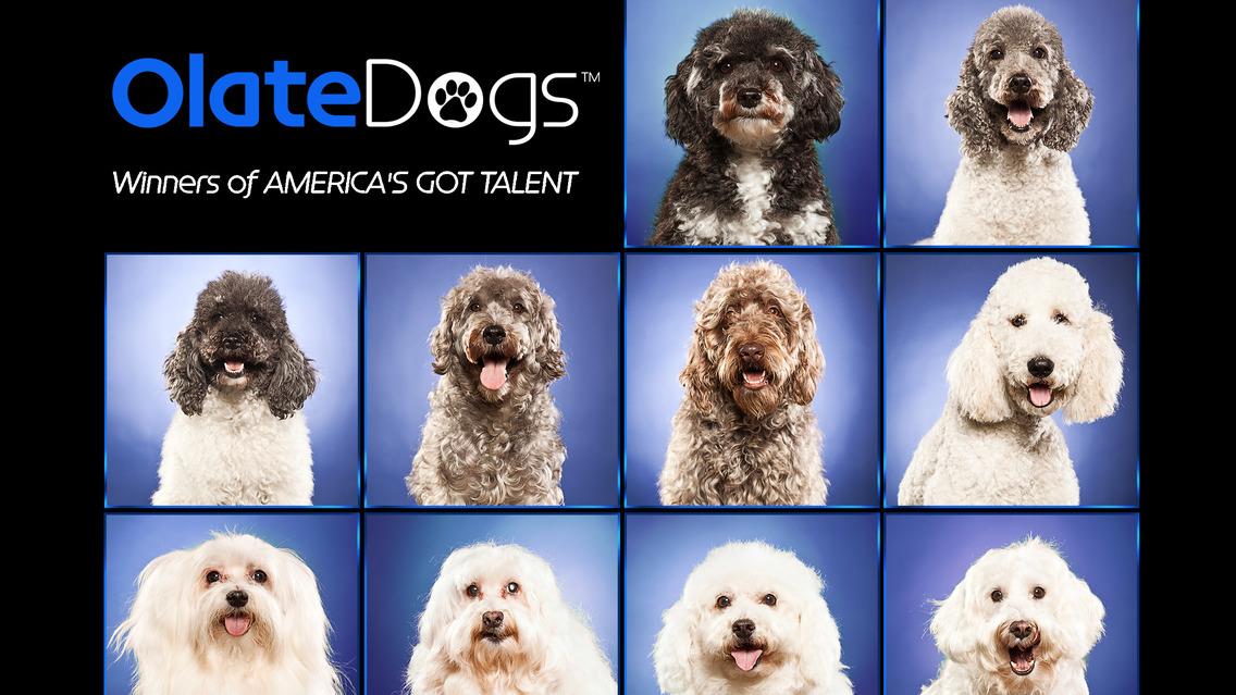 Olate Dogs