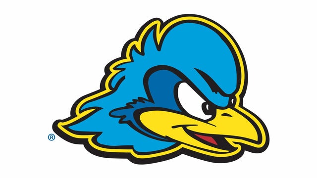 University of Delaware Blue Hens Men's Lacrosse