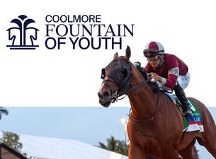 Coolmore Fountain of Youth