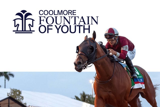 Coolmore Fountain of Youth hero