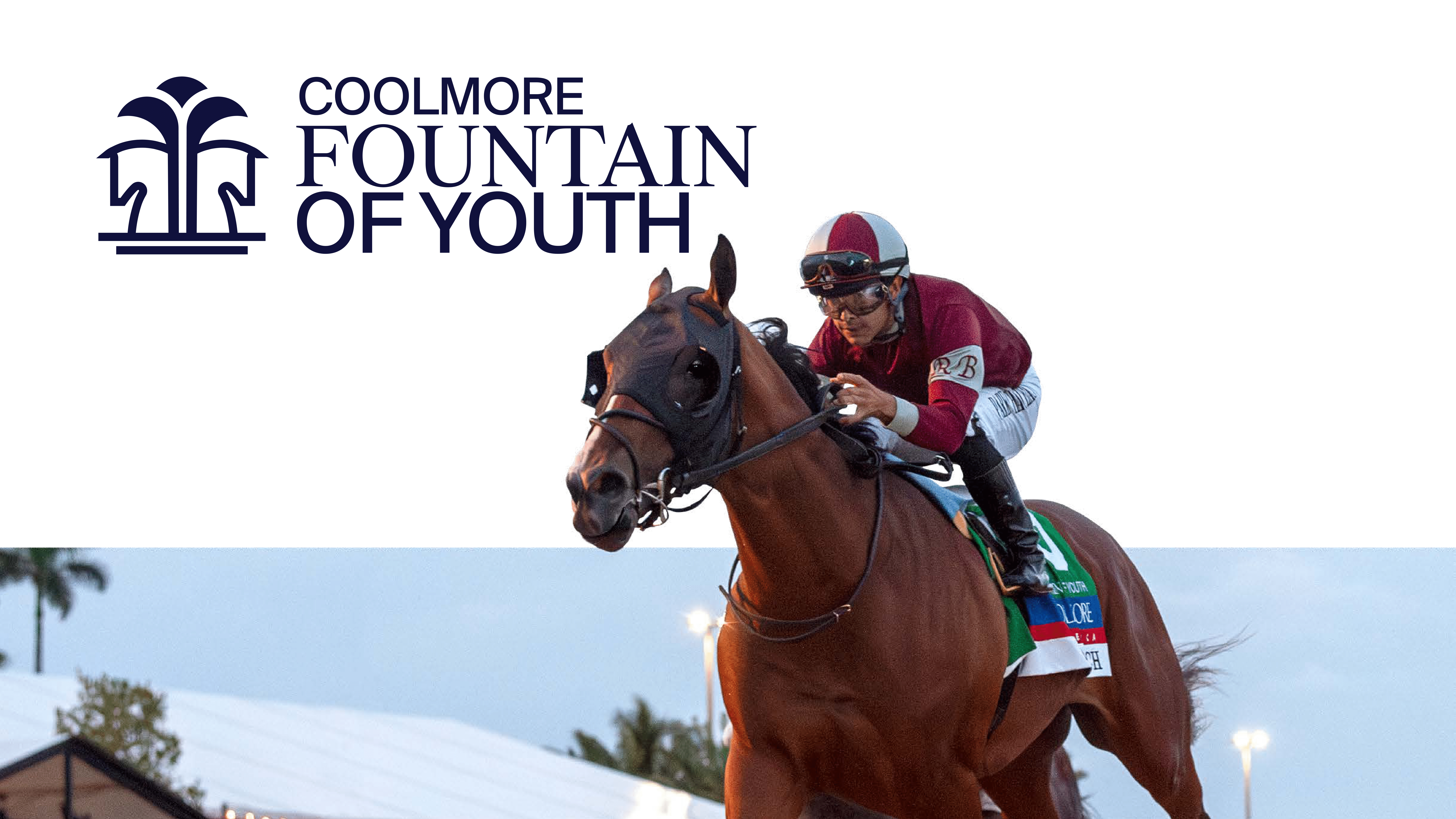 Coolmore Fountain of Youth hero