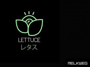 Lettuce Event Title Pic