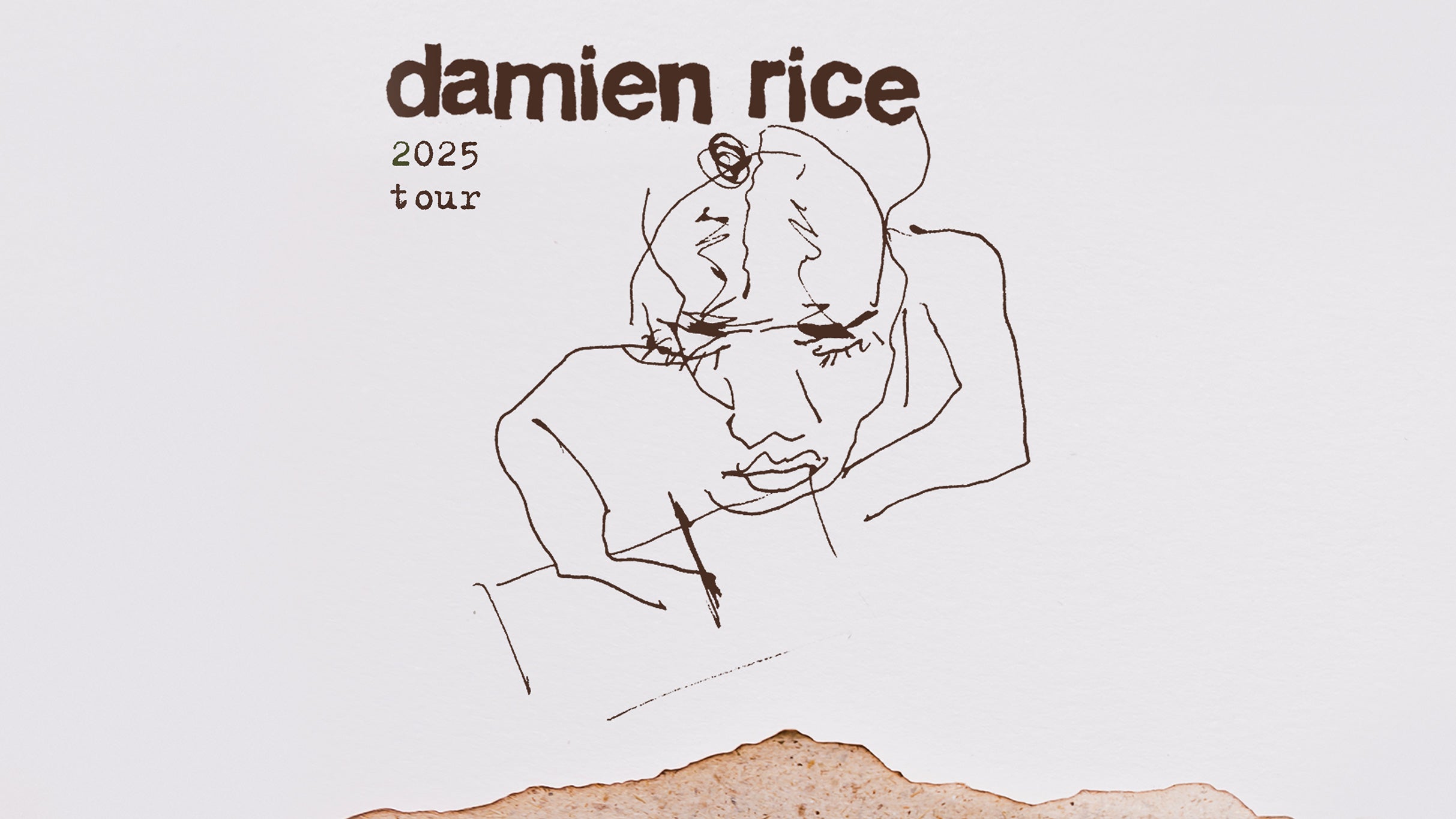 Damien Rice 