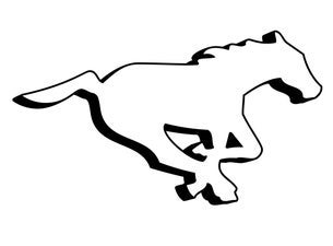 Calgary Stampeders vs Saskatchewan Roughriders at McMahon Stadium