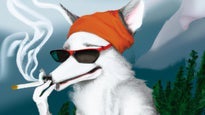 Fjellrev