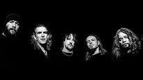 New Model Army