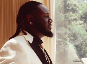 TP20: Celebrating 20 Years of T-Pain