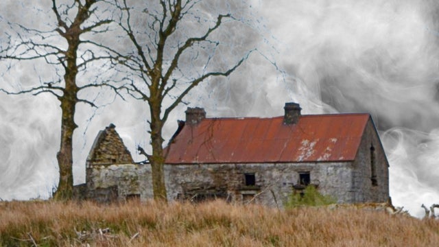 Andrew Johnston: Eerieland - Terror Talks