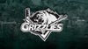 Utah Grizzlies vs. Allen Americans