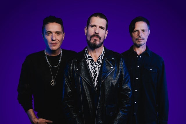 Presale codes for dld: members use these when buying pre-sale tickets