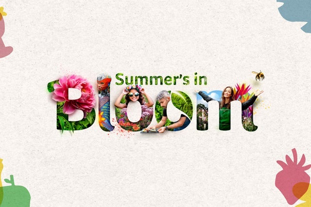 Bord Bia Bloom