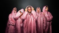 The Flaming Lips